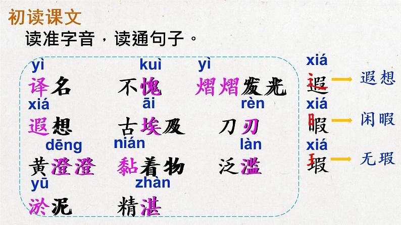 部编版 语文五年级下册 20 金字塔 课件05