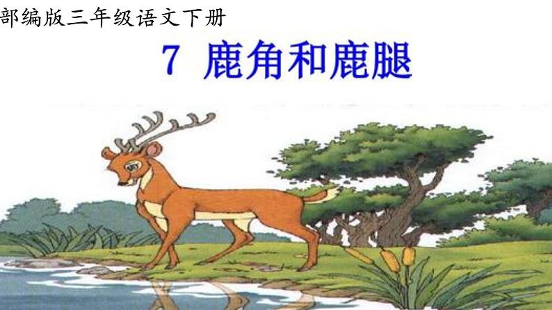 最新部编版三年级语文下册7鹿角和鹿腿完美课件第1页