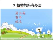 人教部编版二年级上册3 植物妈妈有办法说课课件ppt