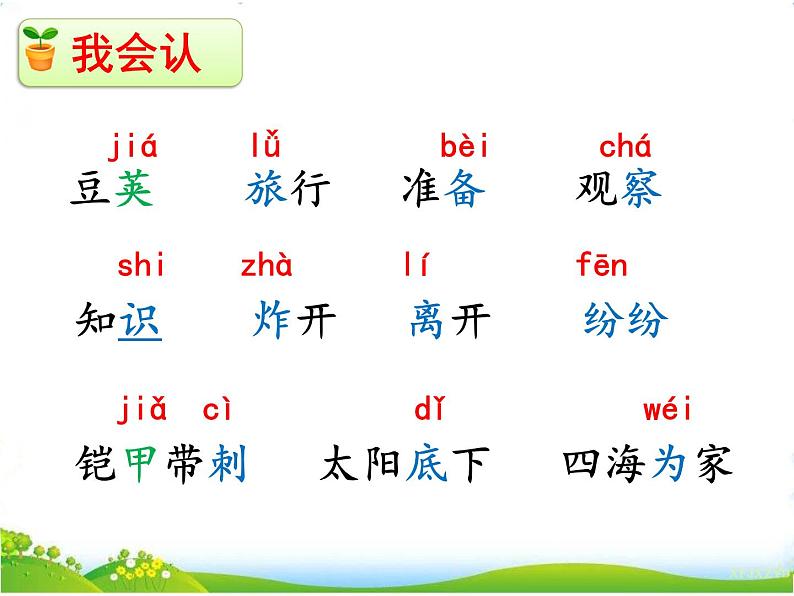 部编语文二上 第一单元 3  植物妈妈有办法  第一课时课件PPT第4页