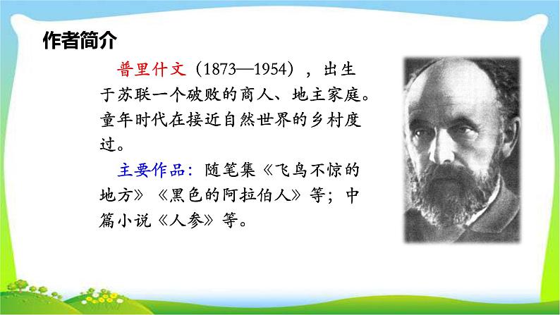 最新部编版三年级语文上册16金色的草地完美课件第5页