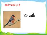 最新部编版三年级语文上册26灰雀完美课件