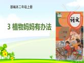 新人教部编本二年级语文上册3植物妈妈有办法完美版课件PPT