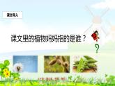 新人教部编本二年级语文上册3植物妈妈有办法完美版课件PPT