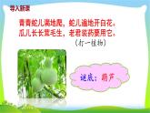 最新部编版二年级语文上册14我要的是葫芦完美课件