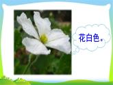 最新部编版二年级语文上册14我要的是葫芦完美课件