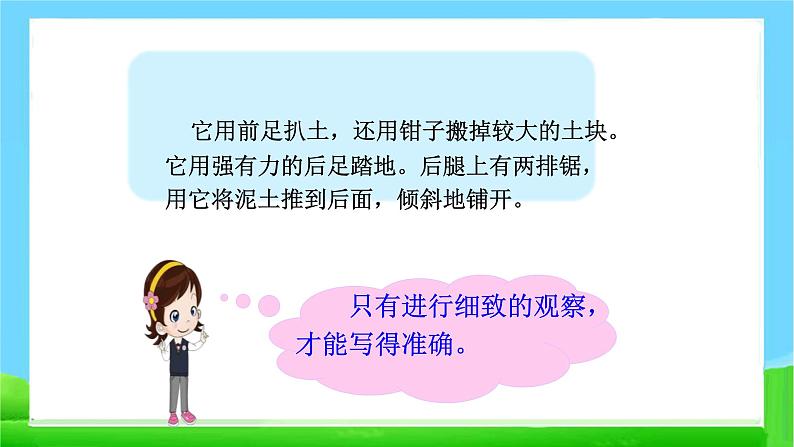 最新部编版四年级语文上册语文园地三完美课件第3页