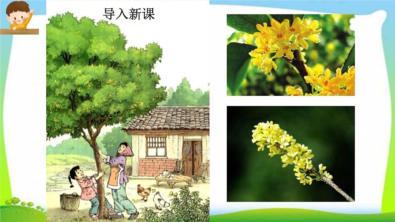 最新部编版五年级语文上册3桂花雨完美课件第2页