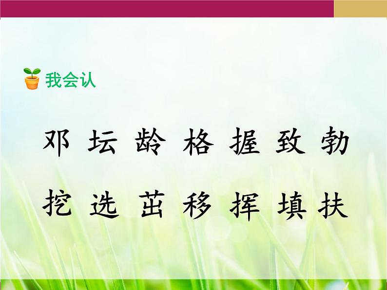 统编版二年级下册语文4二下语4.邓小平爷爷植树ppt课件第8页