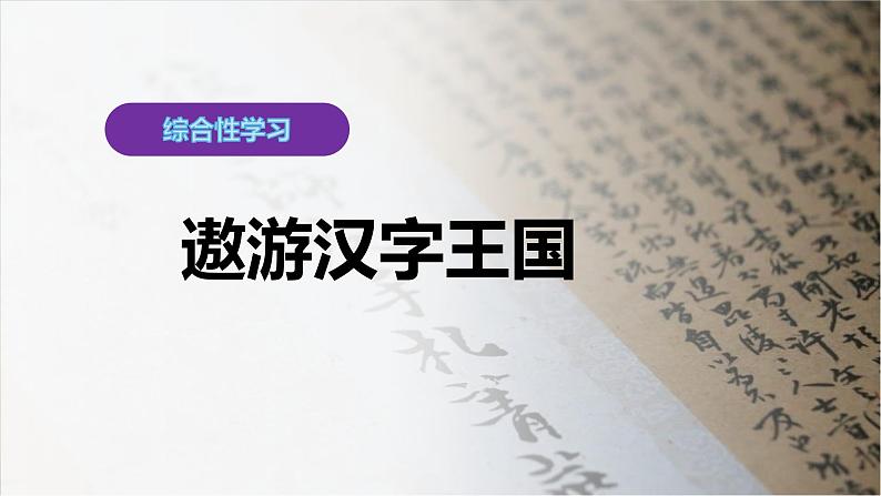 最新部编版五年级语文下册综合性学习：遨游汉字王国课件PPT01