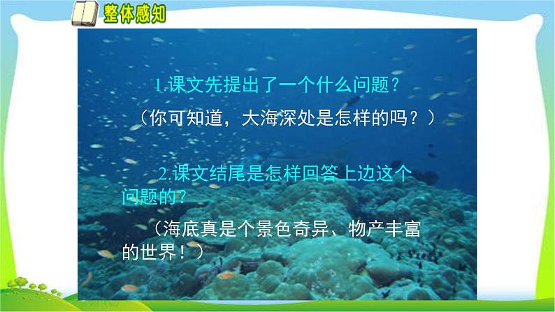 部编人教版小学三年级下册23海底世界完美课件08