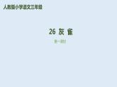 部编版三年级语文上册26灰雀优质 课件