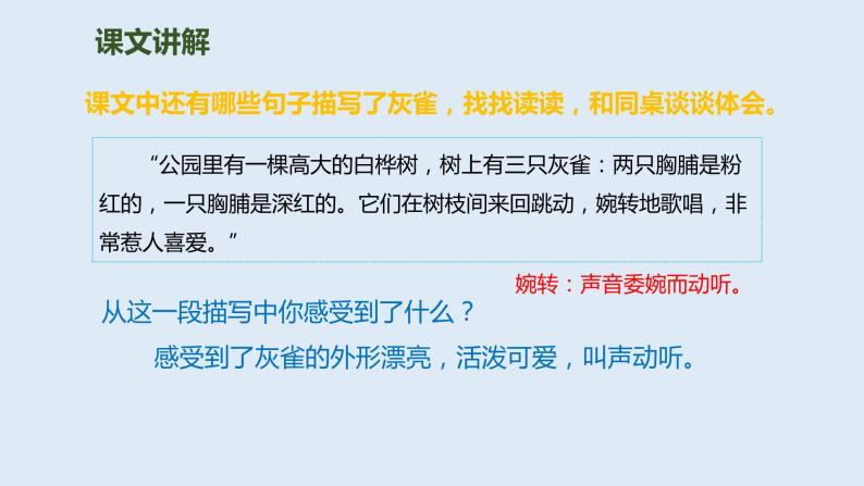 部编版三年级语文上册26灰雀优质 课件08