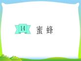 最新部编版三年级语文下册14蜜蜂优质 课件