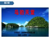 小学语文人教部编版五年级上册第七单元《 鸟的天堂》教学课件