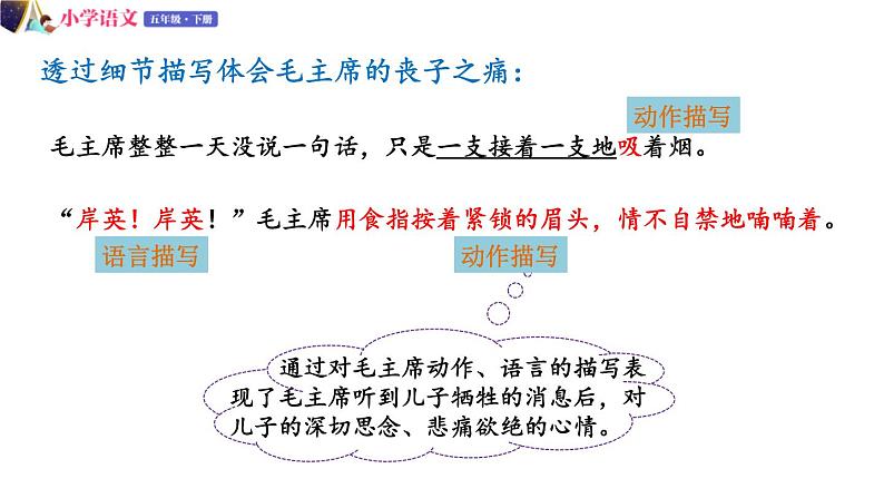 五年级下册语文授课课件 第四单元 10.青山处处埋忠骨 第二课时 部编版06