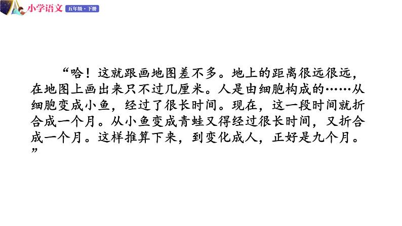 五年级下册语文授课课件 第八单元 23.童年的发现 部编版第7页