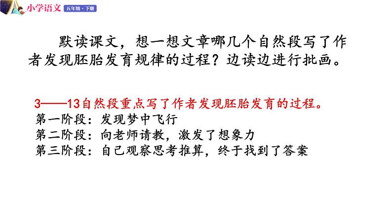 五年级下册语文授课课件 第八单元 23.童年的发现 部编版第8页