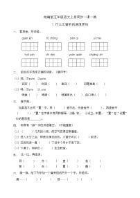 小学语文人教部编版五年级上册第二单元7 什么比猎豹的速度更快一课一练