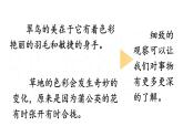 最新部编本三年级语文上册习作我们眼中的缤纷世界优质课件PPT
