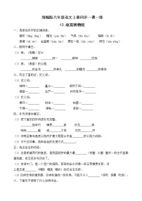 小学人教部编版12* 故宫博物院精练