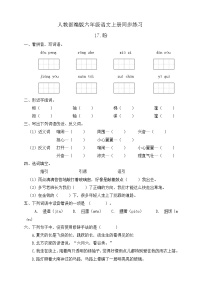 小学人教部编版17 盼精练