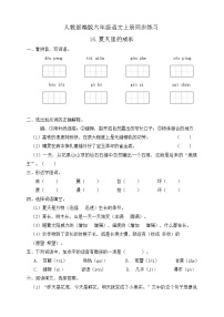 人教部编版六年级上册16 夏天里的成长一课一练