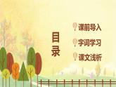5.铺满金色巴掌的水泥道 （2个课时）课件+教案