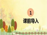 5.铺满金色巴掌的水泥道 （2个课时）课件+教案