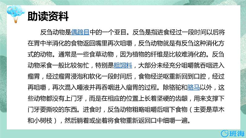 10.在牛肚子里旅行 （2个课时）课件+教案05