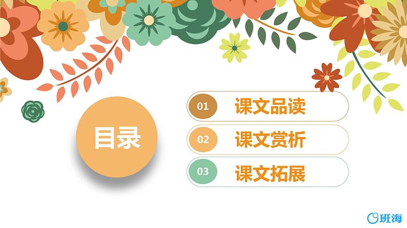 13.胡萝卜先生的长胡子（2个课时）课件+教案02