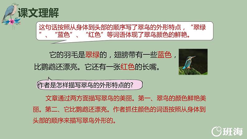 15.搭船的鸟（2个课时）课件+教案05