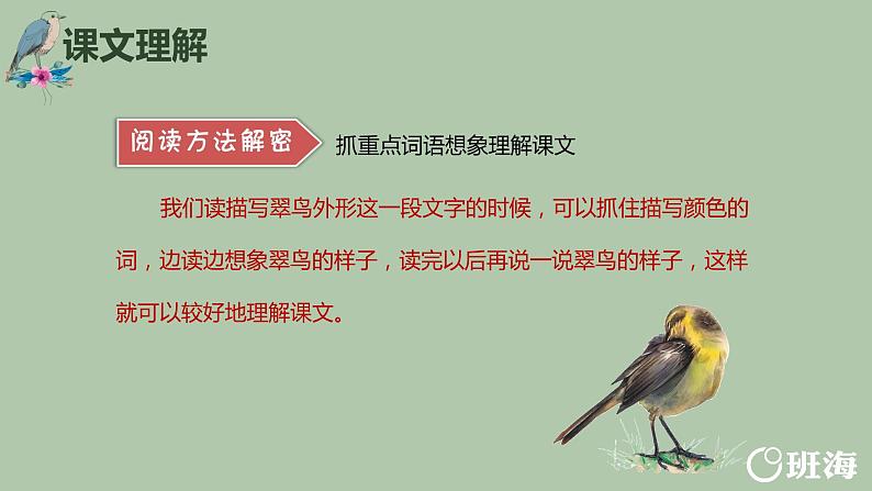 15.搭船的鸟（2个课时）课件+教案06