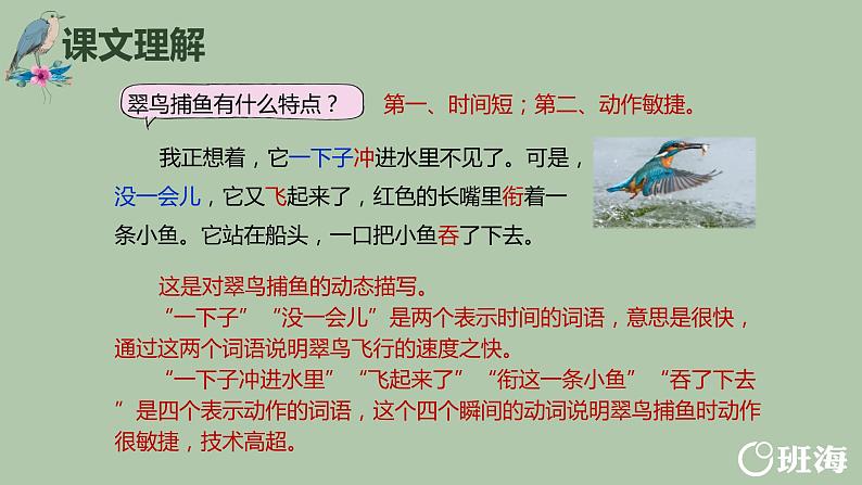 15.搭船的鸟（2个课时）课件+教案07