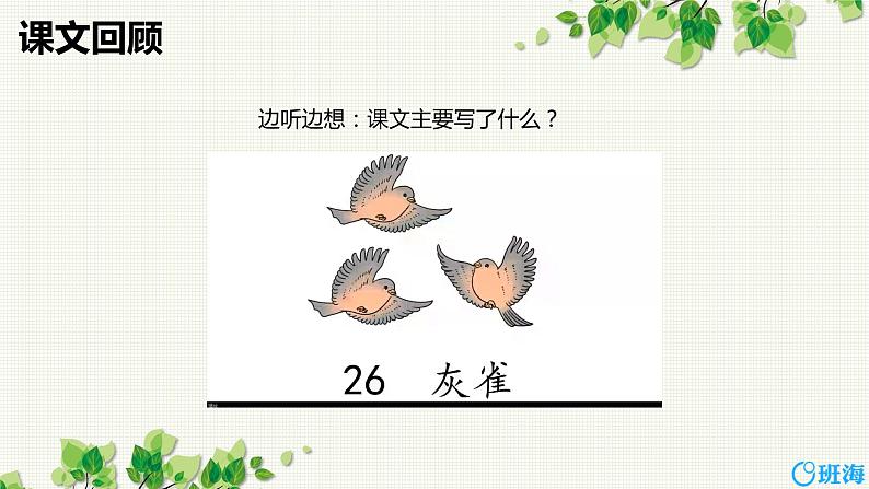 25.灰雀（2个课时）课件+教案04