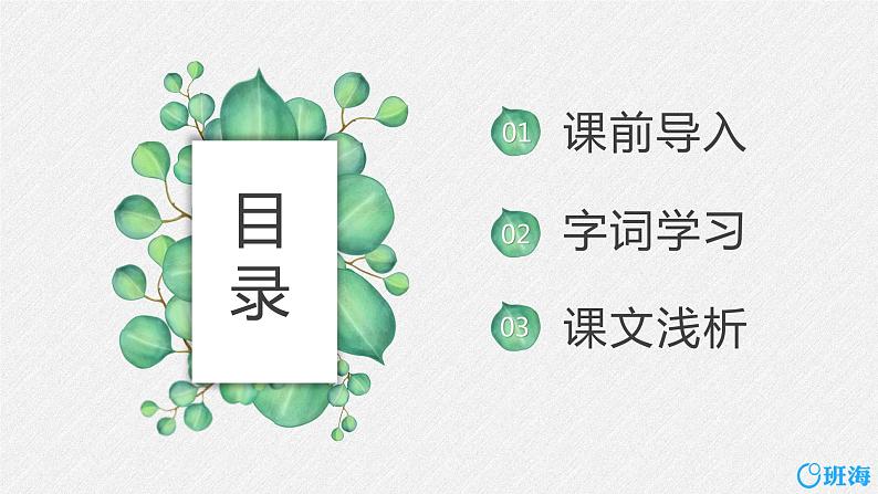 5.一个豆荚里的五粒豆 （2个课时）课件+教案02