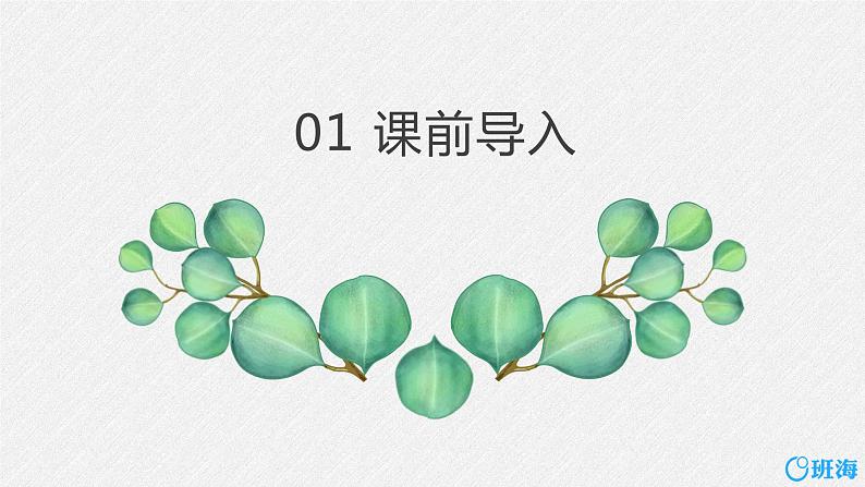 5.一个豆荚里的五粒豆 （2个课时）课件+教案03