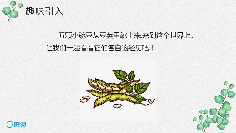 5.一个豆荚里的五粒豆 （2个课时）课件+教案04