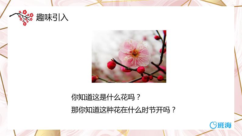 9.古诗三首 课件+教案04