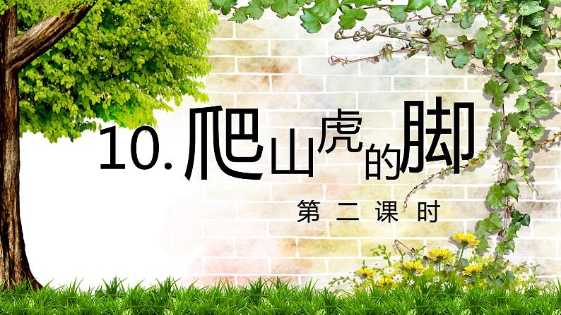 10.爬山虎的脚（2个课时）课件+教案01