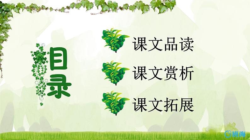 10.爬山虎的脚（2个课时）课件+教案02