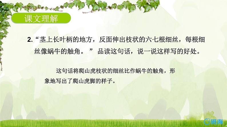 10.爬山虎的脚（2个课时）课件+教案05