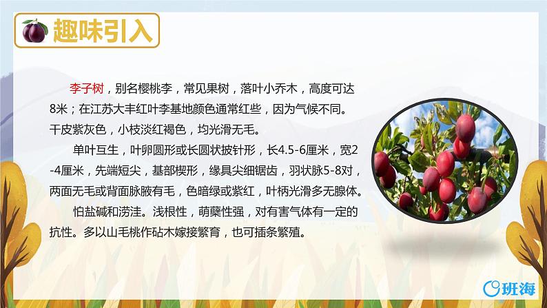 25.王戎不取道旁李（2个课时）课件+教案05