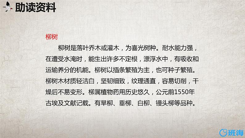 部编版语文二年级下册-咏柳 优秀课件PPT第6页