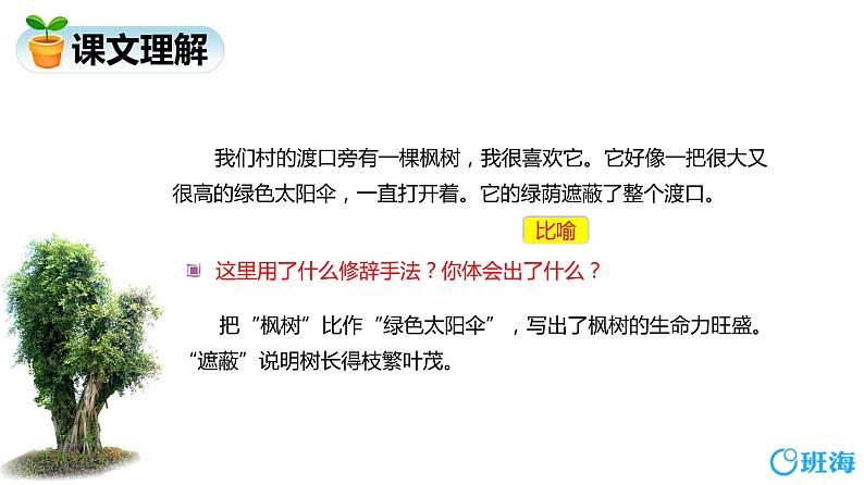 部编版语文二年级下册-9.枫树上的喜鹊 优秀课件PPT+教案05