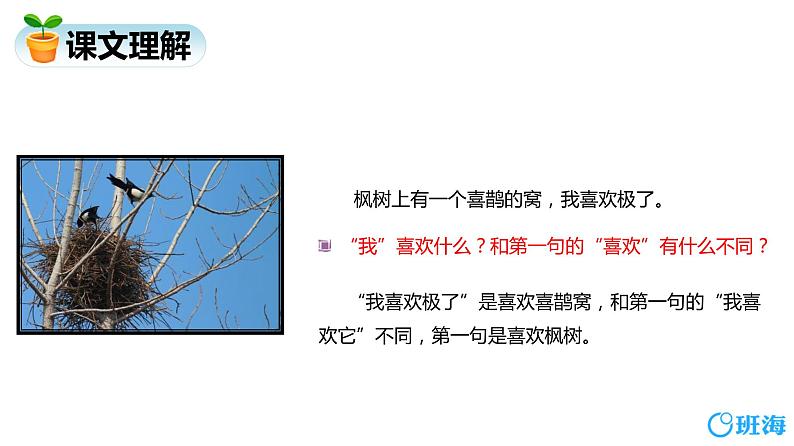 部编版语文二年级下册-9.枫树上的喜鹊 优秀课件PPT+教案06