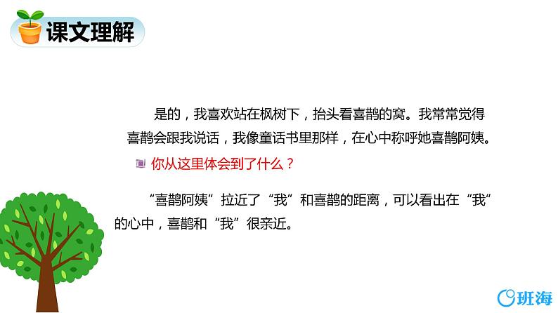 部编版语文二年级下册-9.枫树上的喜鹊 优秀课件PPT+教案07