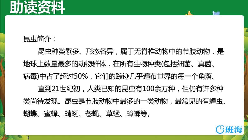 部编版语文二年级下册-11.我是一只小虫子 优秀课件PPT+教案05