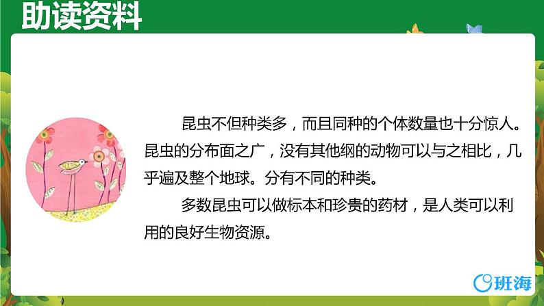 部编版语文二年级下册-11.我是一只小虫子 优秀课件PPT+教案06