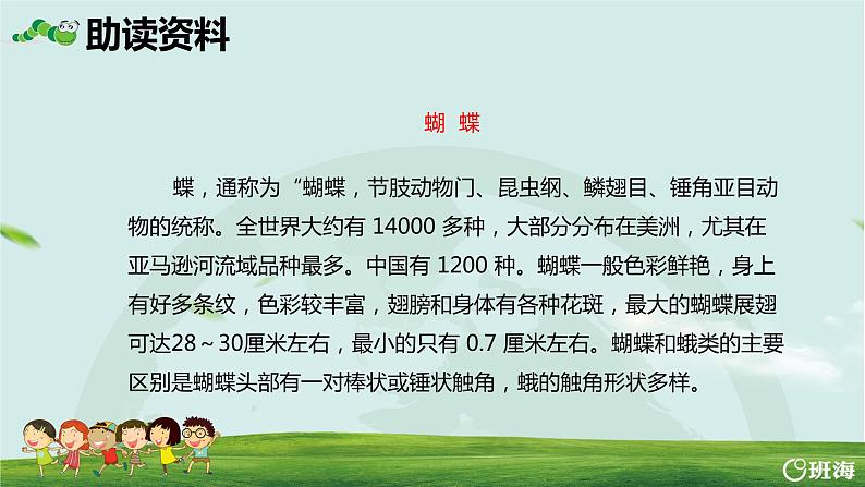 部编版语文二年级下册-22.小毛虫 优秀课件PPT+教案05